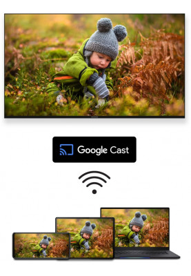 Медіаплеєр Thomson Streaming Box 4K UHD 240G