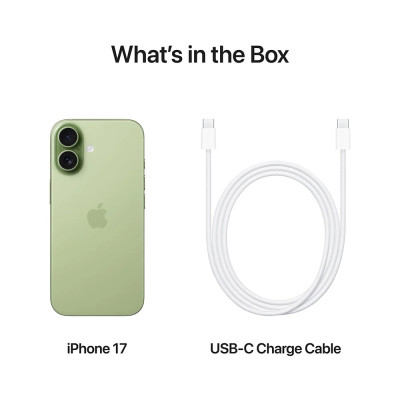 Смартфон Apple iPhone 17 256GB Sage (MG6N4AF/A)