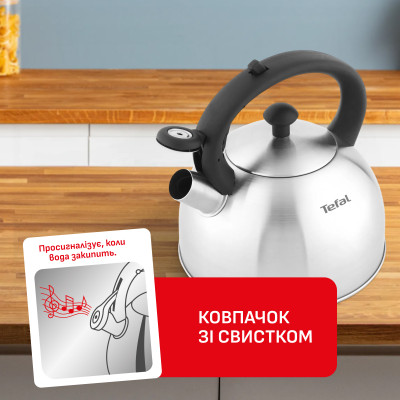 Чайник Tefal Duetto+ 2.5 л (N4210310) Чайник Tefal Duetto+ 2.5 л (N4210310)
