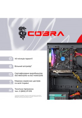 Персональний комп`ютер COBRA Advanced (I131F.16.H1S2.55.16456)