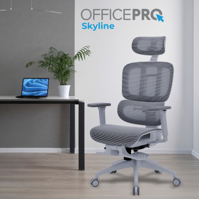 Крісло офісне Officepro Skyline Footrest Gray/Dark Gray (OC750-G-DG-DG) Крісло офісне Officepro Skyline Footrest Gray/Dark Gray (OC750-G-DG-DG)