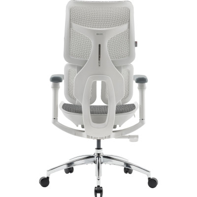 Крісло офісне Sihoo Doro S100 Mesh White (S100-M302)
