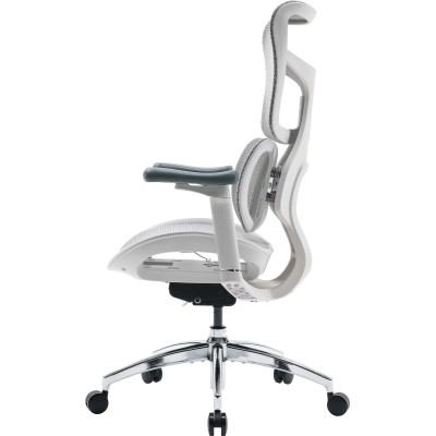 Крісло офісне Sihoo Doro S100 Mesh White (S100-M302)
