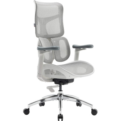 Крісло офісне Sihoo Doro S100 Mesh White (S100-M302)