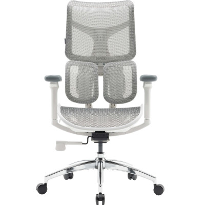 Крісло офісне Sihoo Doro S100 Mesh White (S100-M302)