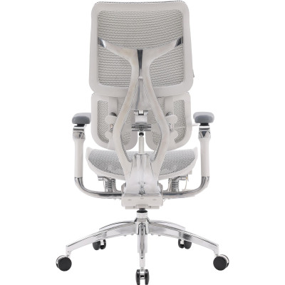 Крісло офісне Sihoo Doro S300 Mesh Light Grey (S300-M202)