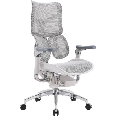 Крісло офісне Sihoo Doro S300 Mesh Light Grey (S300-M202)