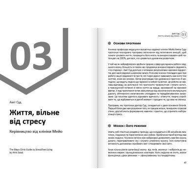 Щастя. Здоровий і щасливий рік. Збірник самарі + Аудіокнижка Щастя. Здоровий і щасливий рік. Збірник самарі + Аудіокнижка