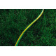 Шланг 2Е AquaFlex Green 1/2" 50м (2E-GHE12GN50)