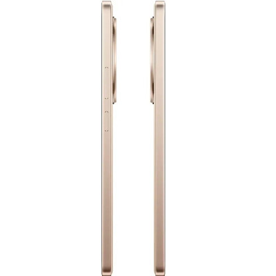 Смартфон Realme 13+ 5G 8/256GB (RMX5000) Victory Gold
