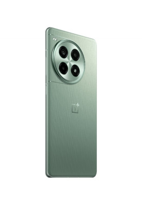 Смартфон OnePlus Ace 3 Pro 12/256GB Green