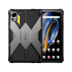 Fossibot DT2 12/256GB LTE Gray