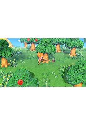 Games Software Animal Crossing: New Horizons (SWITCH)