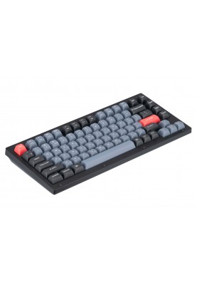 Keychron Клавіатура механічна V1 84Key, Gateron G PRO Red, USB-A, Hot-Swap, QMK, EN/UKR, RGB, Frosted Black