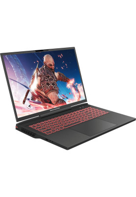 Dream Machines Ноутбук RG4070-17 17WQXGA IPS, Intel i9-14900HX, 32GB, F1TB, NVD4070-8, DOS, чорний