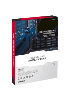 Kingston Пам'ять ПК DDR5 16GB 8000 FURY Renegade XMP Срібний
