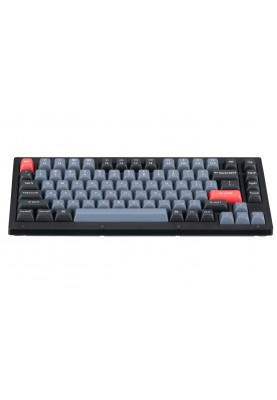 Keychron Клавиатура V1 84 Key QMK Gateron G PRO Blue Hot-Swap RGB Frosted Black