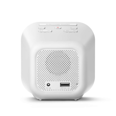 Philips Радіочасник AR4406