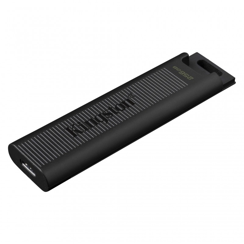 Kingston Накопичувач 256GB USB-C 3.2 Gen 2 DT Max