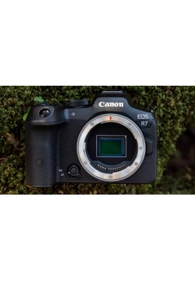 Canon Цифр. фотокамера EOS R7 body