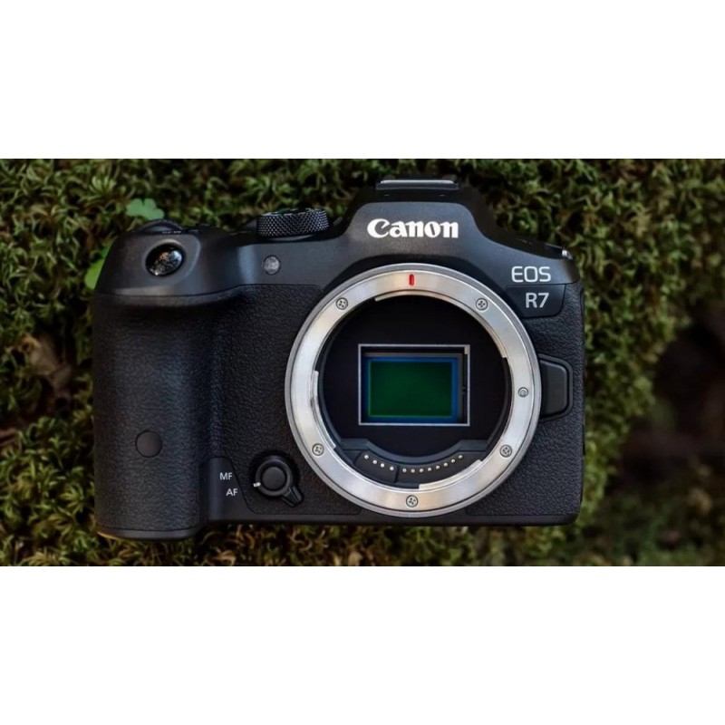 Canon Цифр. фотокамера EOS R7 body