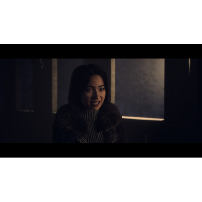 Games Software UNTIL DAWN [BD диск] (PS5)