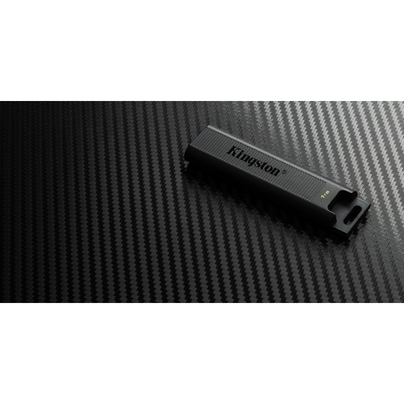 Kingston Накопичувач 256GB USB-C 3.2 Gen 2 DT Max