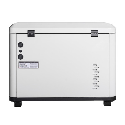 EnerSol Генератор газовий ENNG-8500SATS, 230В, 8.0-8.5кВт, електростартер, 160.0кг