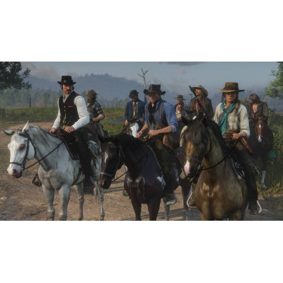 Games Software Red Dead Redemption 2 [Blu-Ray disk] (PS4)