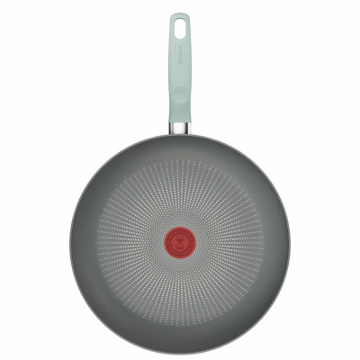 Tefal Сковорода Halo EUCALYPTUS, 30 см, алюміній, бакеліт, сірий