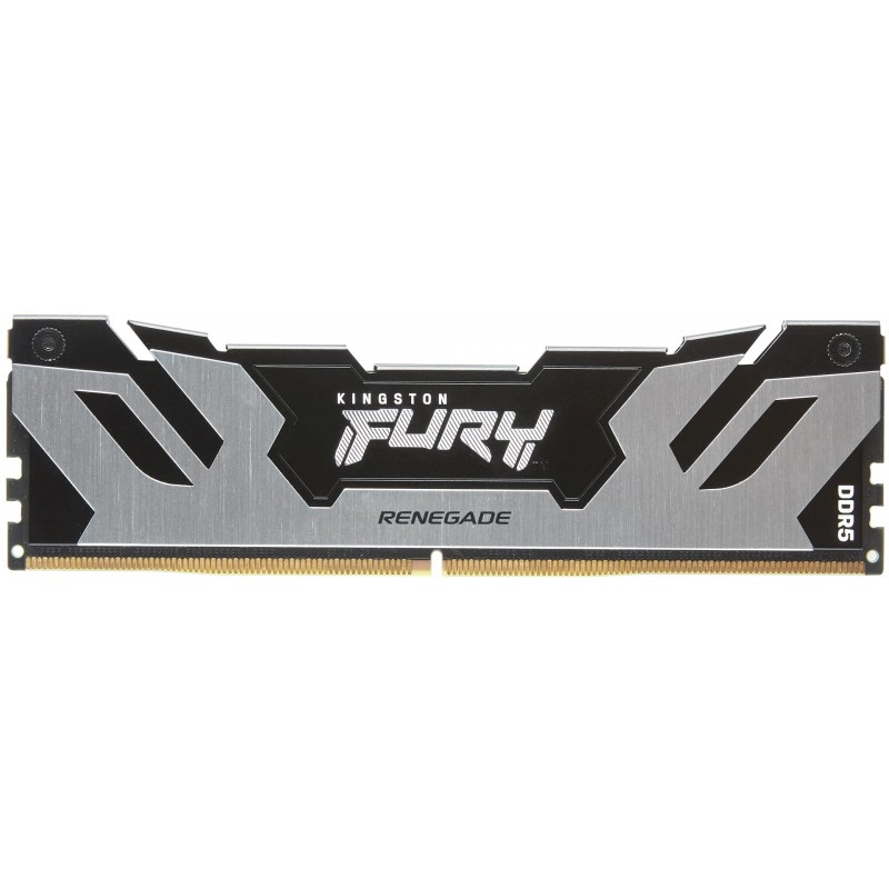 Kingston Пам'ять ПК DDR5 48GB 6400 FURY Renegade XMP Срібний