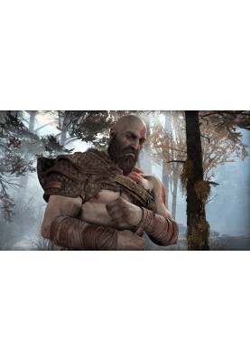 Games Software God of War (PS4)