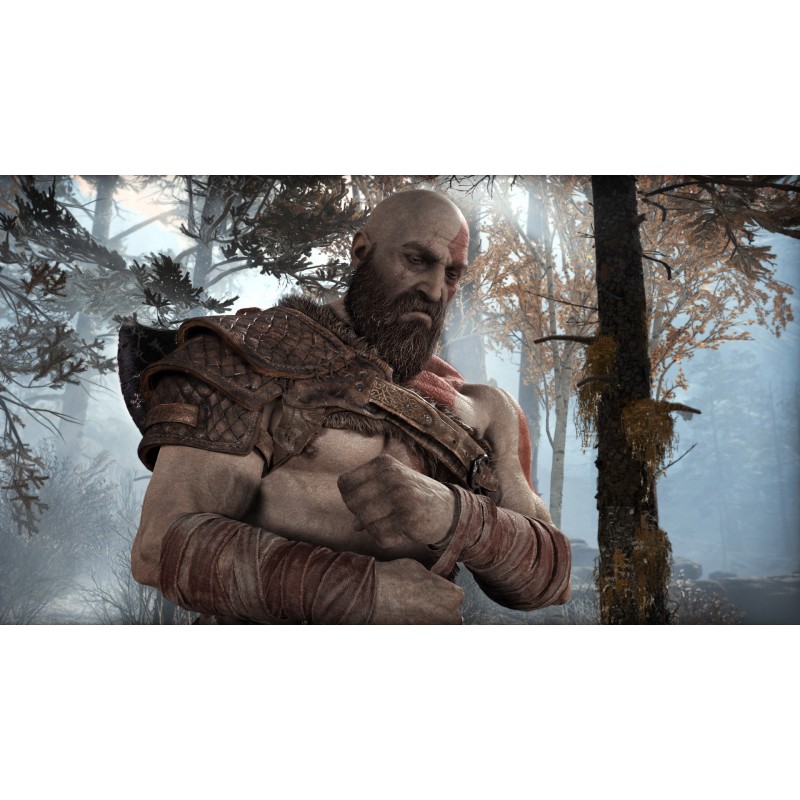 Games Software God of War (PS4)