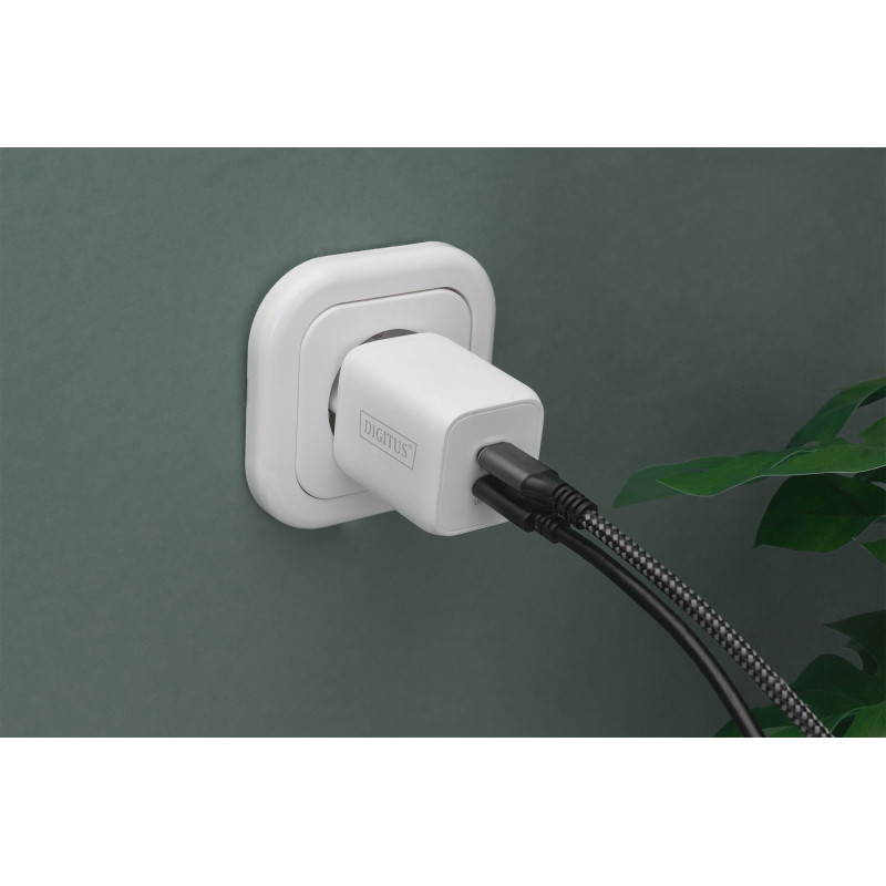 Digitus Зарядний пристрій 2хUSB-C, 65W, GaN