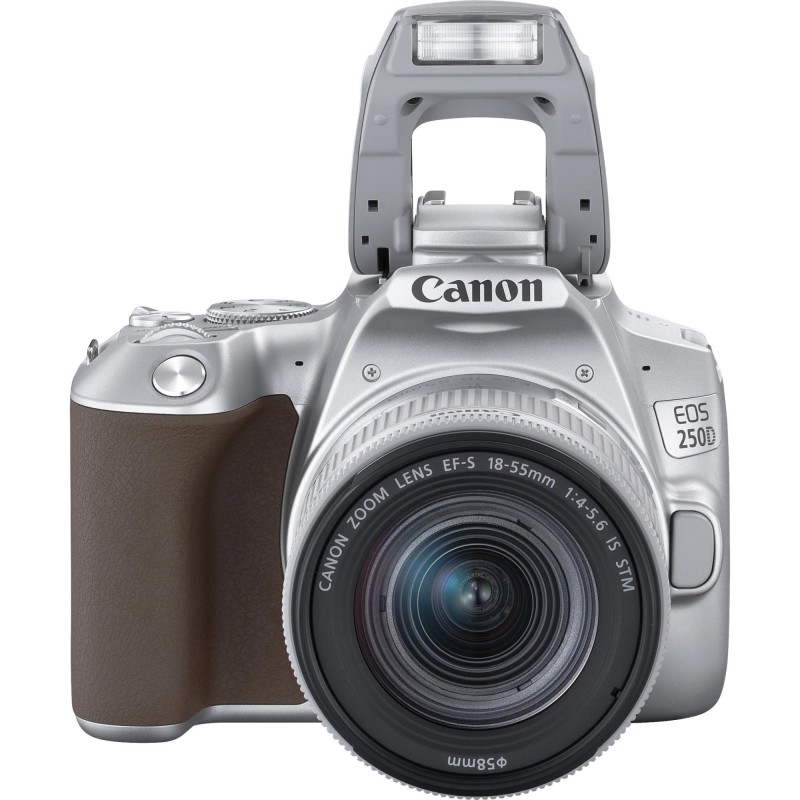 Canon Цифрова фотокамера дзеркальна EOS 250D kit 18-55 IS STM Silver