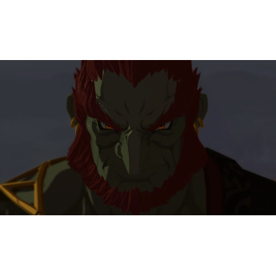 Games Software Гра консольна Switch 2 HYRULE WARRIORS AGE OF IMPRISONMENT, картридж