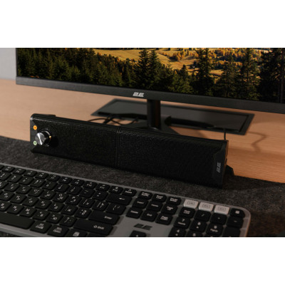 2E Акустична система PCS203, 2.0, USB, Metal Black
