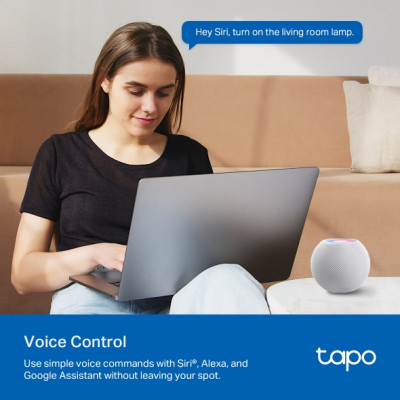 TP-Link Розумна розетка компактна Tapo P110M N300 BT 16A