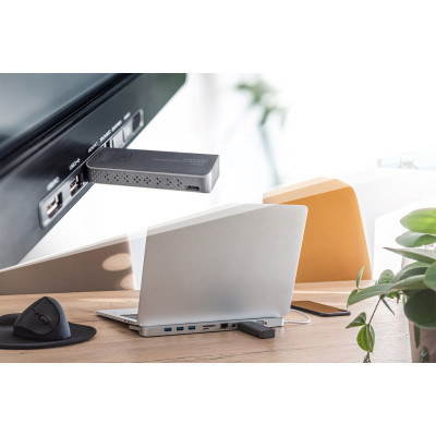 Digitus Система для презентацій Click & Present Mini - Wireless Collaboration System HDMI, 1xTX, 1xRX