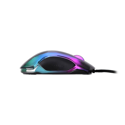 2E Gaming Миша MG345 RGB USB Transparent