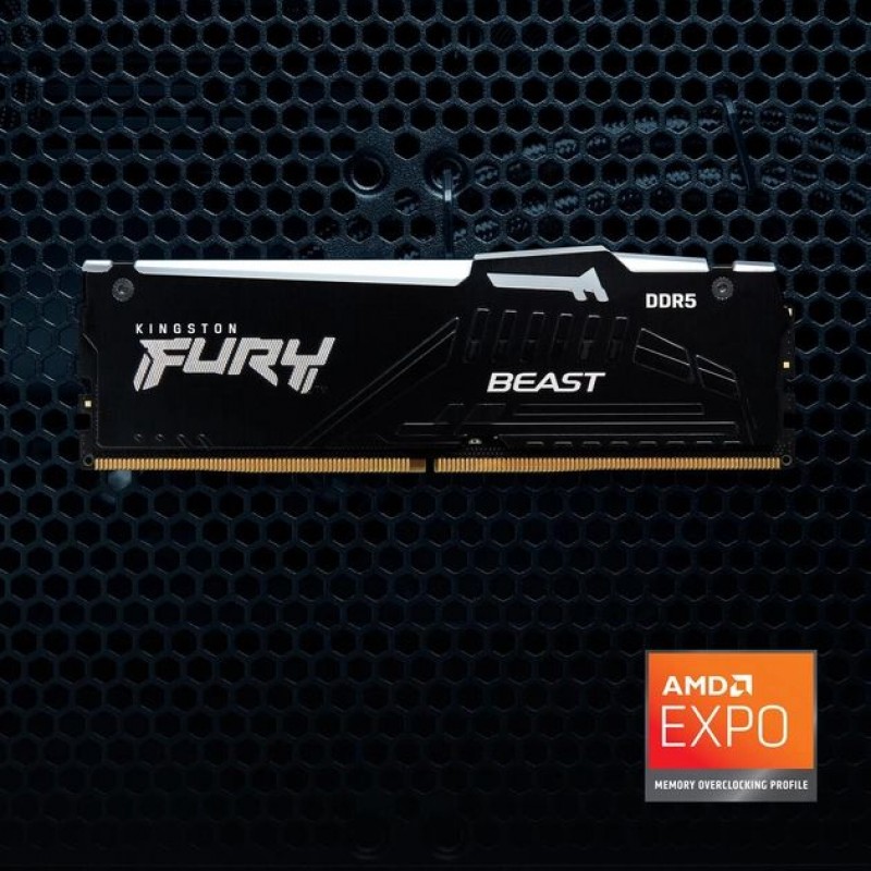 Kingston Пам'ять ПК DDR5 16GB 5600 Beast Black RGB