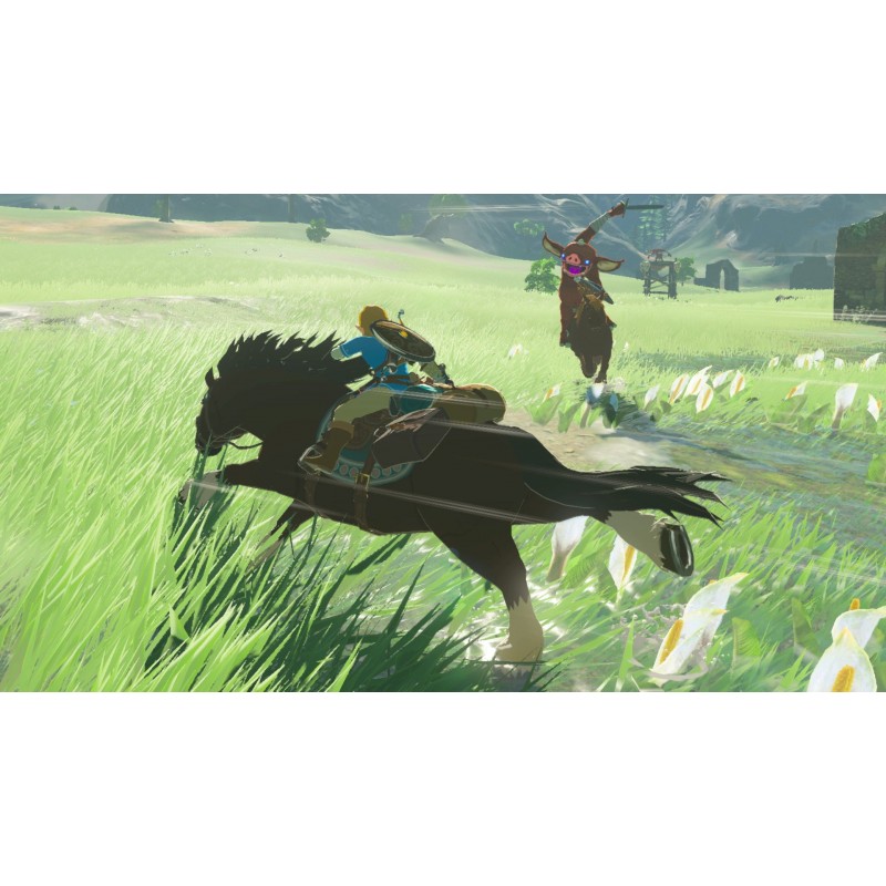Games Software The Legend of Zelda: Breath of the Wild (Switch)