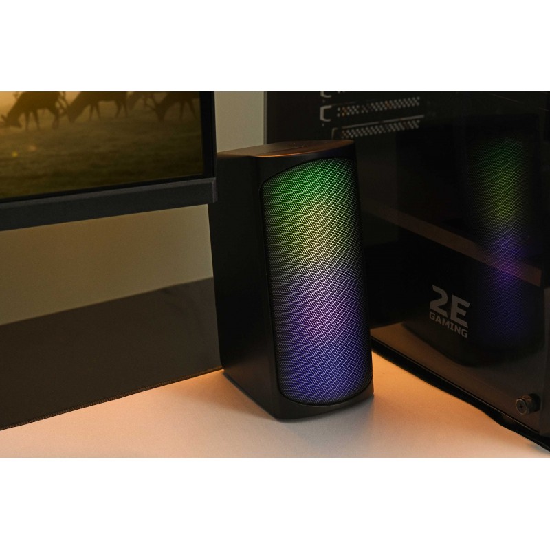 2E Акустична система PCS231 RGB Matrix, 2.0, USB, Black