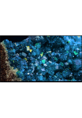 Sony Телевізор 55" XR55A80L
