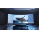 TCL Телевізор 55" MiniLED 4K 100Hz Smart Android TV Silver ONKYO sound