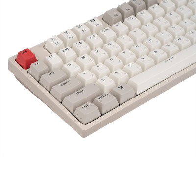 Keychron Клавіатура механічна C1 87Key, Gateron G pro Red, USB-A, EN/UKR, No Led, Сірий