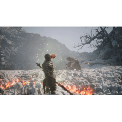 Games Software Black Myth: Wukong [BD диск] (PS5)