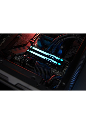 Kingston Пам'ять до ПК DDR5 5600 8GB Beast Black RGB
