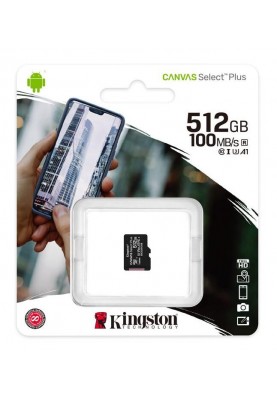 Kingston Карта пам'яті microSD 256GB C10 UHS-I R100/W85MB/s