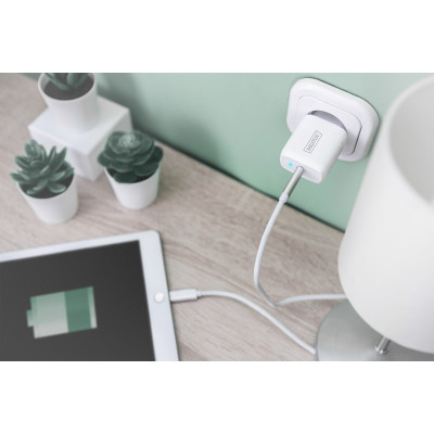 Digitus Зарядний пристрій Universal USB-C